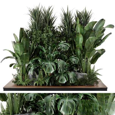 现代绿植盆景-47